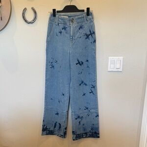 Pilcro Light Blue Flare Jeans with Dark Blue Accents